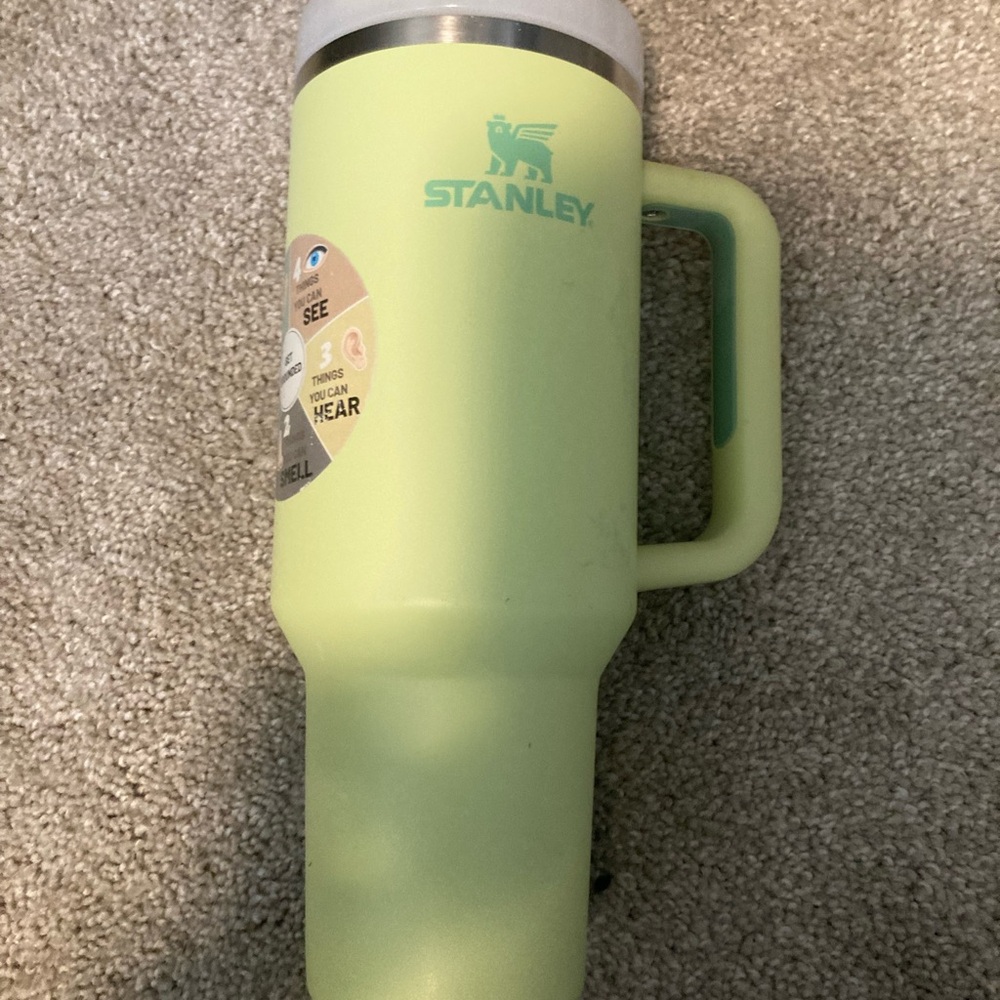 Stanley Light Green Insulated Mug